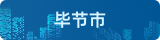 畢節市